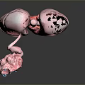 Advanced 3D Medical Device For Lung Anatomy Visualization And Drug Delivery