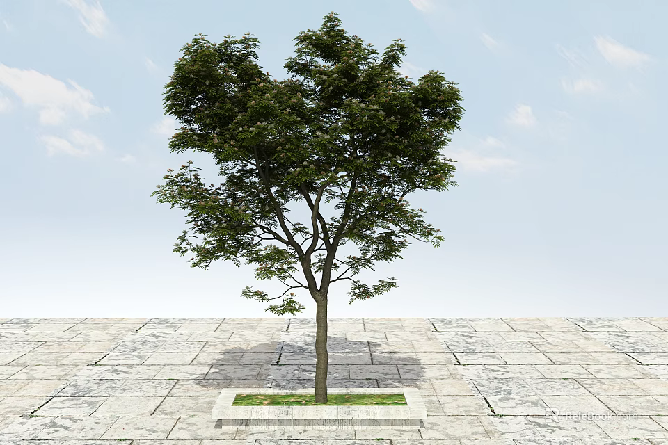 Lush Green Arbor With Strong Trunk And Dense Foliage On Stone Pavement And Grass 3d model 