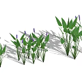 Multiple Green Leaf Plants With Purple Flowers In Garden Arrangement