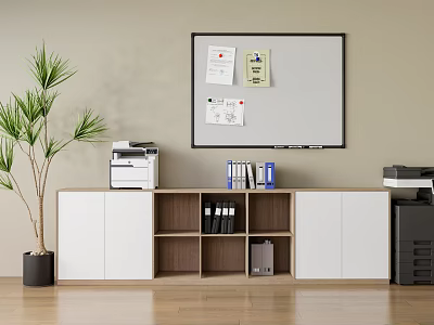 Wooden And White Modern Bookcase In Office Space With Whiteboard Printer Files And Green Plant 3d model