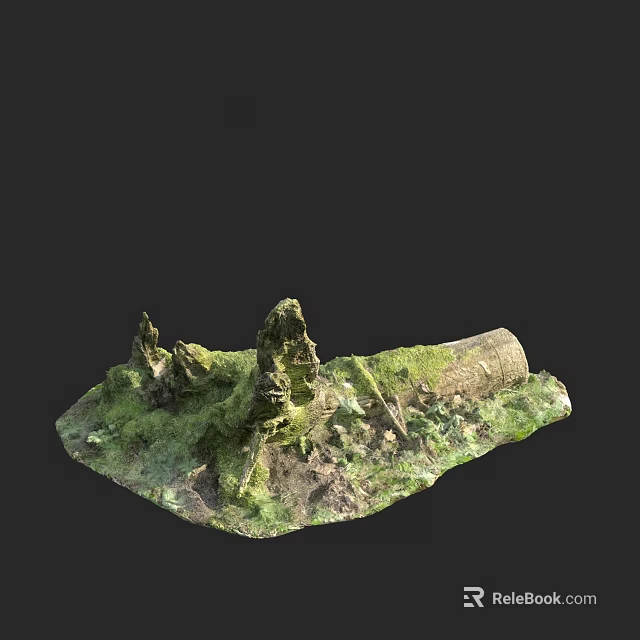 Garden Landscape Miniature Model With Moss Covered Rocks And Natural Elements 3d model