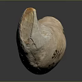Ancient Carved Bone Artifact Featuring Inscriptions 77132P1 G1616 And Red Dot