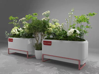 Bonsai Potted Plants in White Pots with Red Borders Various Green Plants and White Flowers 3d model