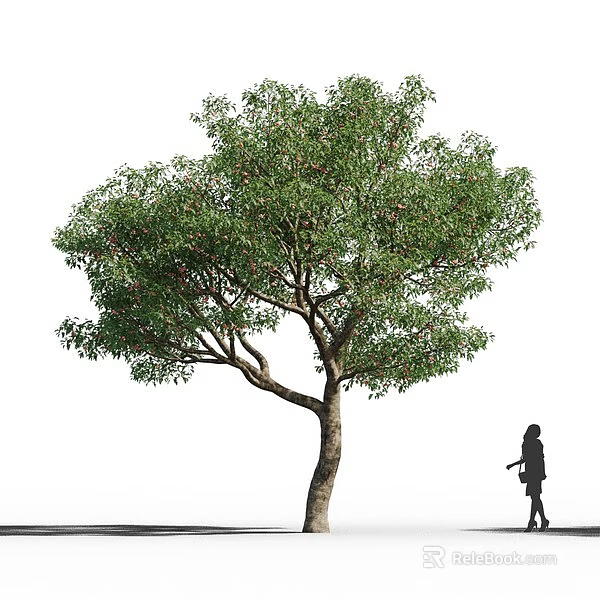 Tall Tree With Lush Green Leaves And Thick Trunk In Outdoor Scene With Person Silhouette 3d model 