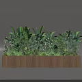 Rectangular Wooden Planter With Thriving Lush Various Green Potted Plants 3d model