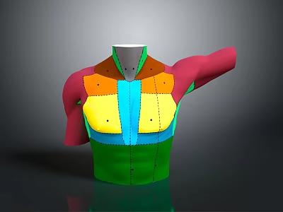 Medical Device 3D Anatomical Model of Human Torso with Color Coded Regions and Arm Structure 3d model