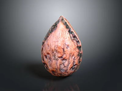 Natural Walnut Food With Brown Textured Surface And Organic Shape Details 3d model