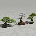 Three Bonsai Plants With Different Shapes And Varied Pots On Gray Floor