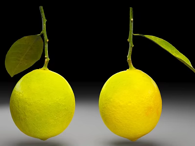 Fresh Green and Yellow Lemons With Leaves and Stems on Black Background 3d model