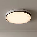 Modern Round Ceiling Light With Soft Illumination For Home Living Space 3d model