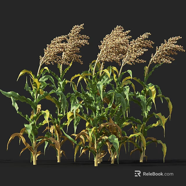 Lush Green and Yellow Leafy Flowers and Plants With Brown Seed Heads Against Dark Background 3d model 