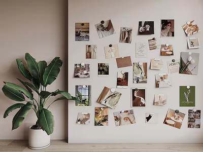 Decorative Photo Wall With Various Photos And Cards Near Green Plant On Neutral Wall 3d model