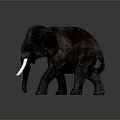 Reddish Brown Elephant Sculpture As Decorative Home Furniture With White Tusks
