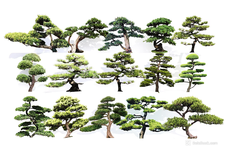 Various Arbor Trees With Different Shapes Green Foliage And Landscape Design 3d model