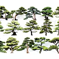 Various Arbor Trees With Different Shapes Green Foliage And Landscape Design 3d model