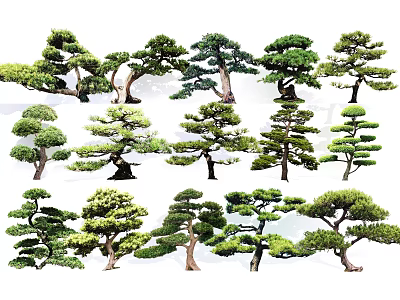 Various Arbor Trees With Different Shapes Green Foliage And Landscape Design 3d model