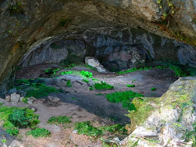 Natural Cave Landscape With Rocky Ceiling Green Vegetation And Earthy Ground 3d model