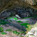 Natural Cave Landscape With Rocky Ceiling Green Vegetation And Earthy Ground