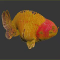 Vibrant Goldfish with Red Head Yellow Body Black Spots and Colorful Scales Swimming Gracefully