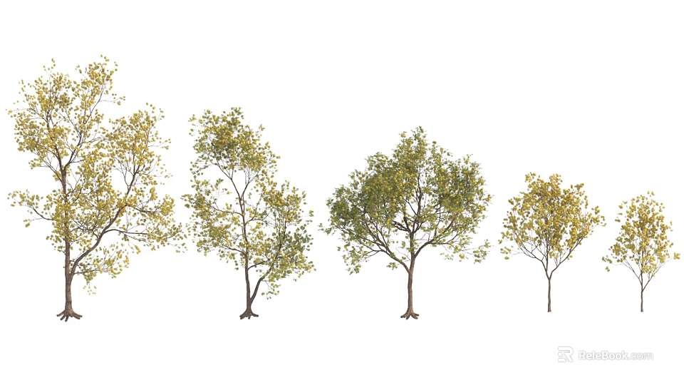 Various Arbor Trees With Green And Yellow Leaves Arranged In A Row 3d model 
