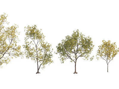 Various Arbor Trees With Green And Yellow Leaves Arranged In A Row 3d model