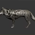 3D Render Of Gray And White Spotted Wolf With Open Mouth Standing On Dark Background