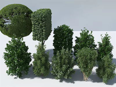 Modern Shrub Plants 3d model Modern Shrub Plants 3d model