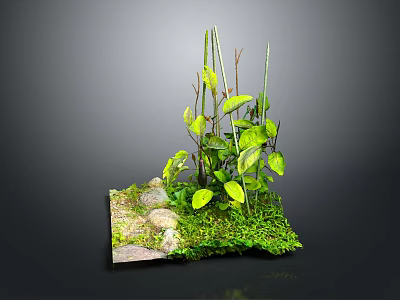 Mini Green Plant Landscape With Fresh Leaves Stones And Lush Moss 3d model
