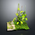 Mini Green Plant Landscape With Fresh Leaves Stones And Lush Moss