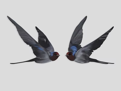Two flying swallows with spread wings black blue feathers and red heads 3d model