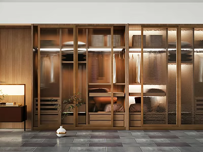 Modern Wooden Wardrobe With Glass Doors Built in Lighting And Storage Shelves 3d model