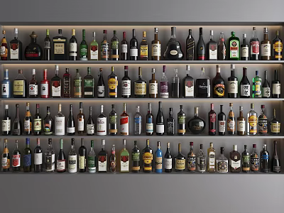 Modern Wine Cabinet Interior Design With Various Neatly Arranged Wine Bottles 3d model