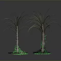 Lush Palm Trees With Glowing Green Moss Base And Reflective Dark Background