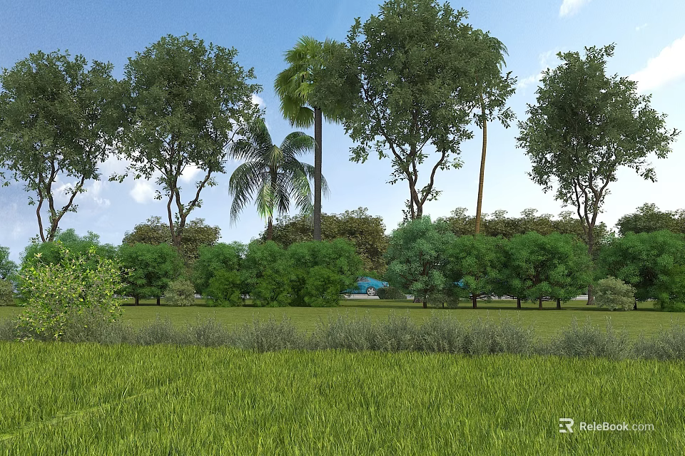 Garden Landscape with Various Trees Palm Trees and Green Grassland Under Blue Sky 3d model 
