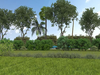 Garden Landscape with Various Trees Palm Trees and Green Grassland Under Blue Sky 3d model