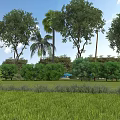 Garden Landscape with Various Trees Palm Trees and Green Grassland Under Blue Sky