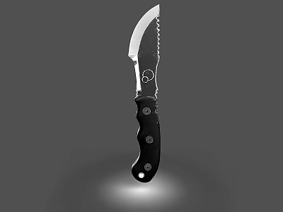 Tactical Weapon Knife With Serrated Blade Black Riveted Handle And Ergonomic Grip 3d model