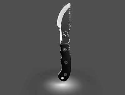 Tactical Weapon Knife With Serrated Blade Black Riveted Handle And Ergonomic Grip 3d model