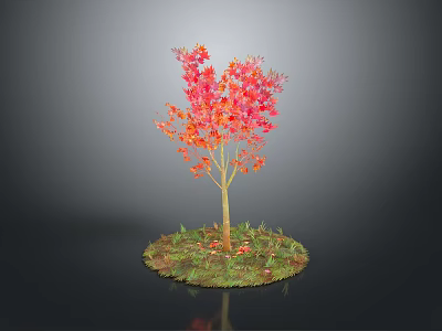 Vibrant Maple Tree With Red Orange Leaves And Yellow Trunk On Green Grass 3d model