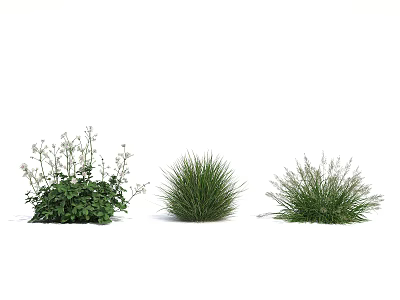 Three Different Green Plants With Small White Flowers On Left And Grasses In Middle Right 3d model