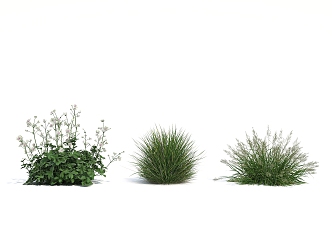 Modern Grass 3d model