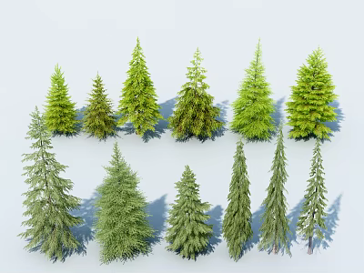 Different Types of Evergreen Arbor Trees with Varied Foliage and Shapes 3d model