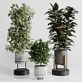 Indoor and outdoor green plants potted plant furnishings 3d model