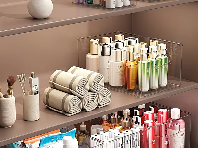Bathroom Accessories Organized on Shelves with Rolled Towels Skincare Bottles and Cosmetic Brushes 3d model