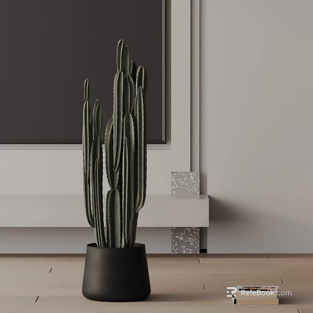 Tall Cactus Plant In Black Pot Against Gray Wall And White Shelf On Wooden Floor 3d model 