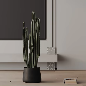 Modern Potted Plant 3d model