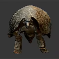 Armadillo With Scaly Shell In Walking Posture On Smooth Dark Surface 3d model