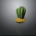 Two Green Spiky Cactus Plants Growing On Yellow Sandy Base With Gray Background 3d model