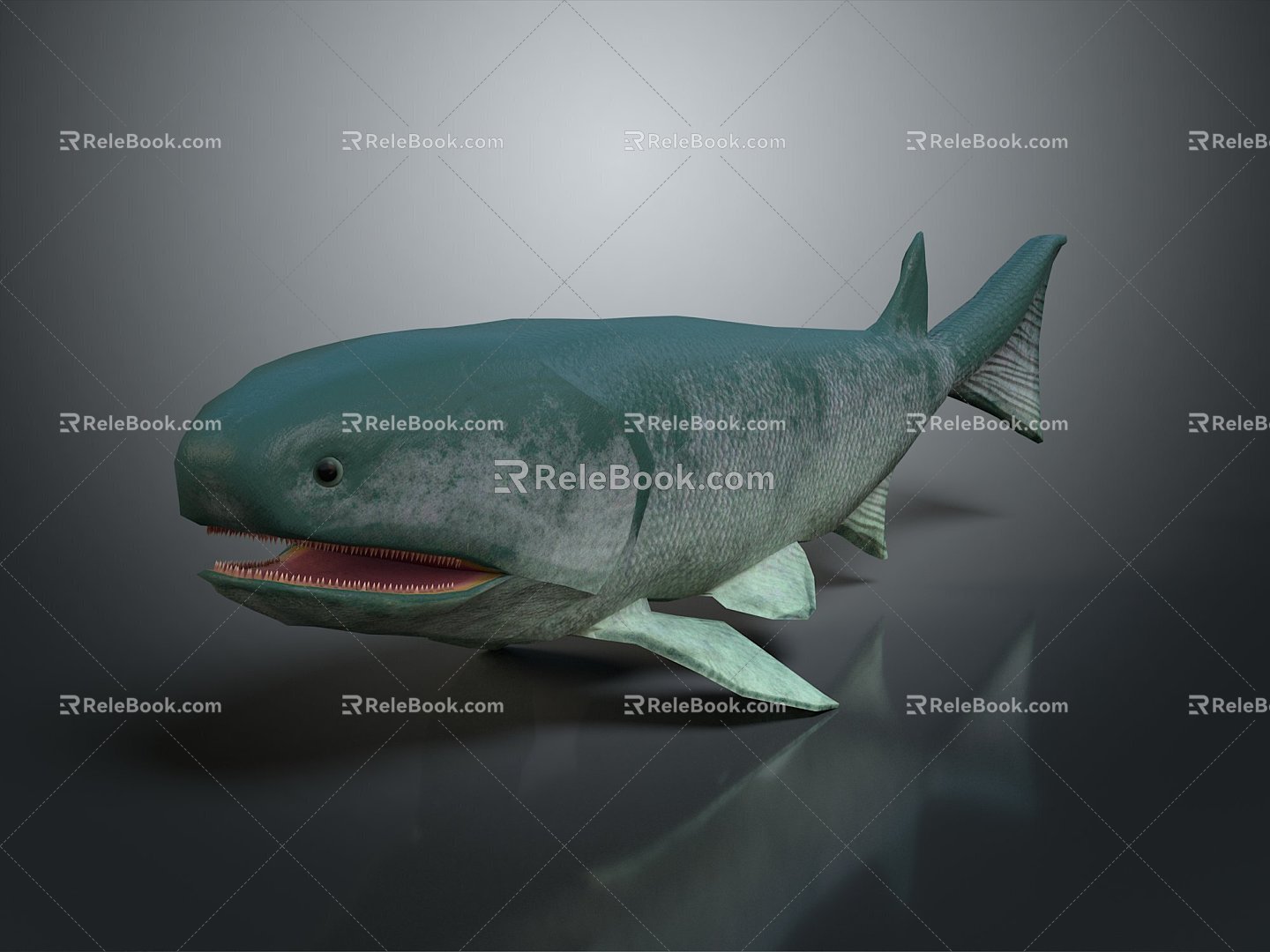 Modern Fin Scale Fish Whale Cartoon Whale Mammals 3d model