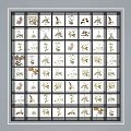 Various Pressed Botanical Plant Specimens In Grid Display Board Collection Arrangement